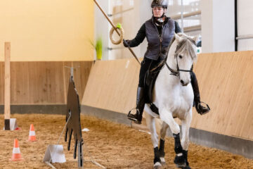 Working Equitation Ringstechen