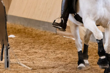 Working Equitation Kurs