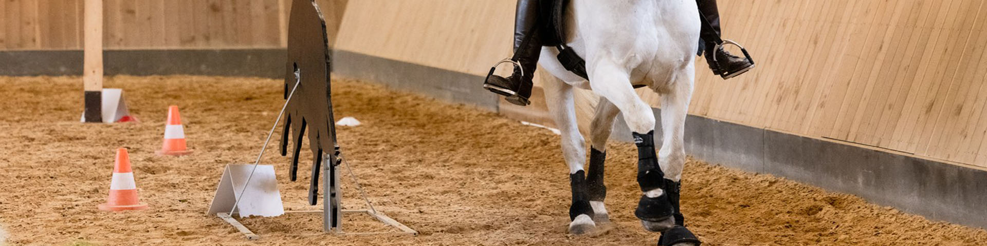 Working Equitation Kurs